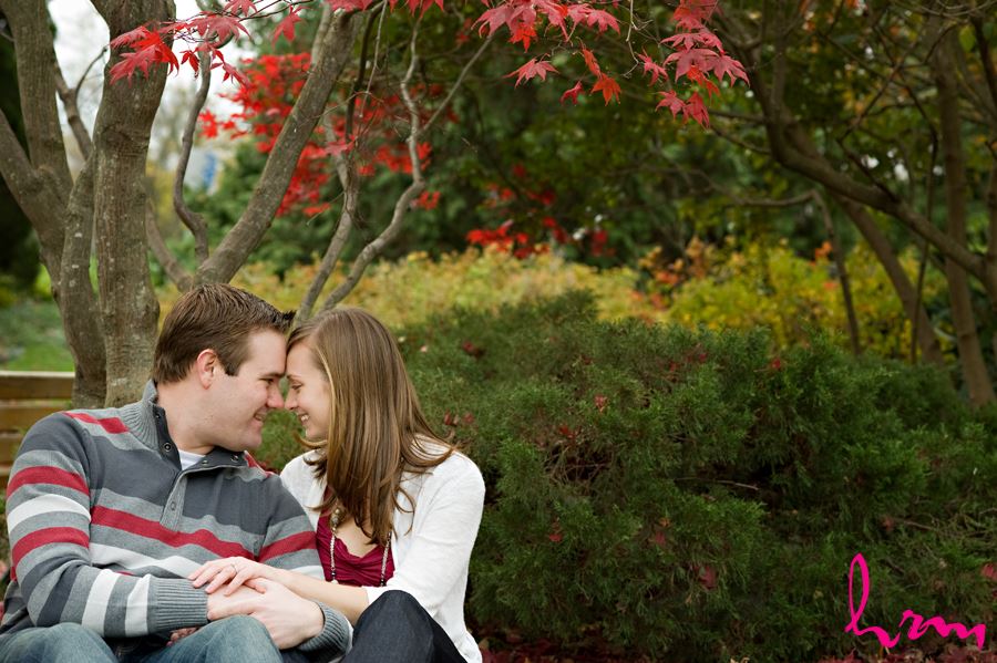toronto couple engagement sitting under a red tree giggling
