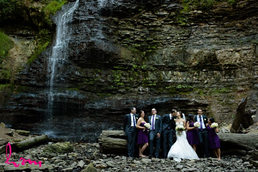 wedding party in front of waterfall