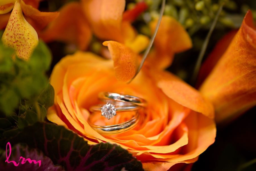 wedding ring shot on orange rose