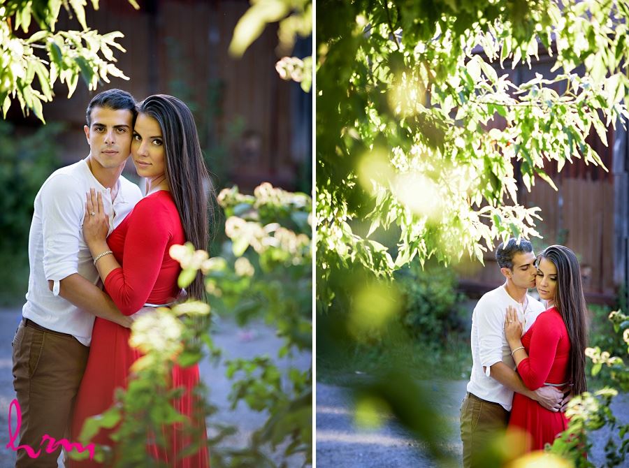 Photo of Jessica and Ahmad with trees taken during London Ontario engagement photography session