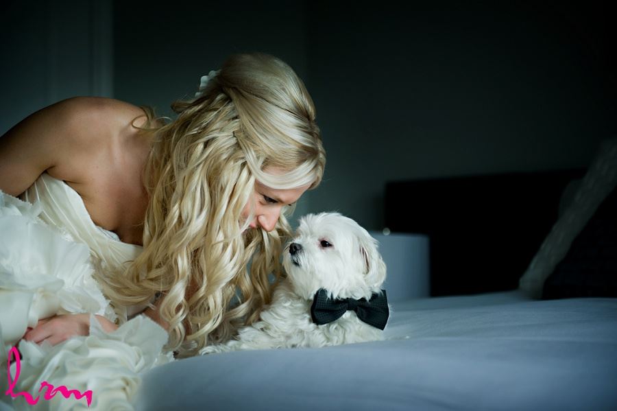 Wedding photo of bride in dress with dog