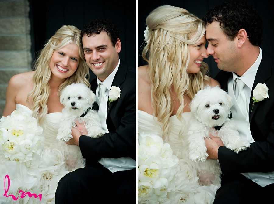 Wedding photo of bridge and groom with dog