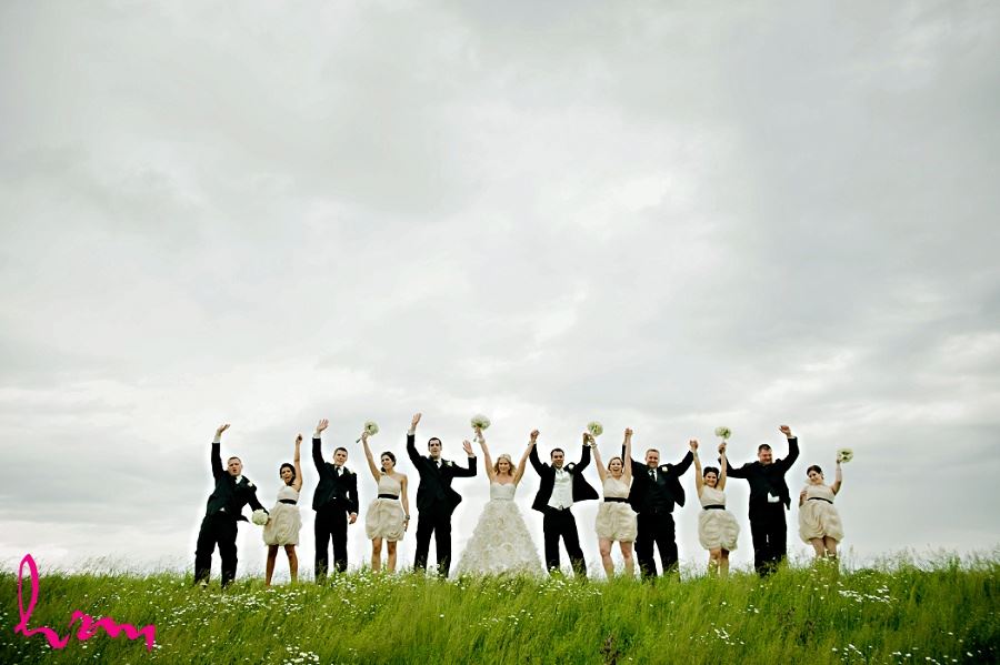 Photo of wedding party on grass hill taken by London Ontario wedding photographer