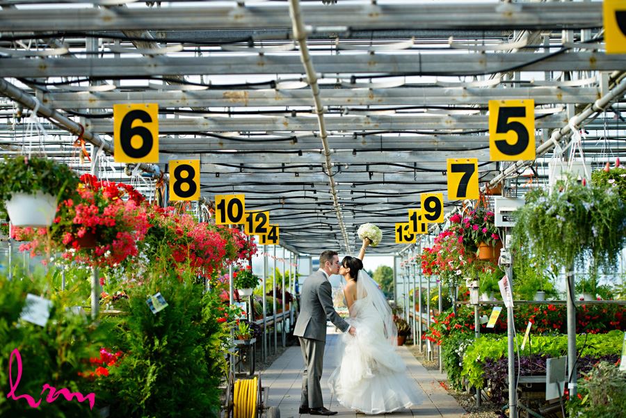 Geneviève + Will kiss in Heeman Greenhouses London ON Wedding Photography