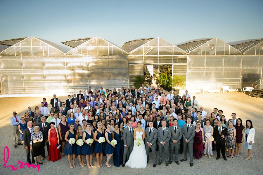 Guests at Heeman Greenhouses London ON Wedding Photography