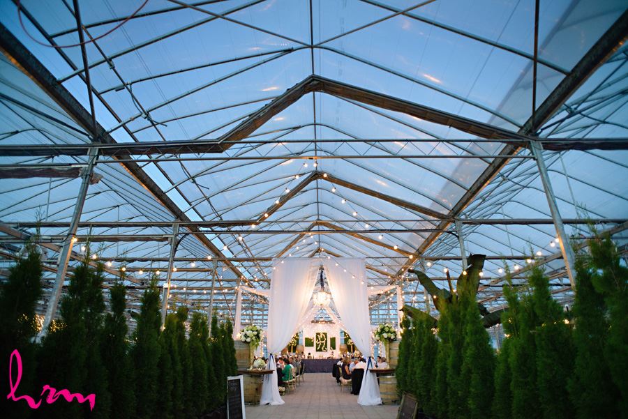 Lights in Heeman Greenhouses London ON Wedding Photography