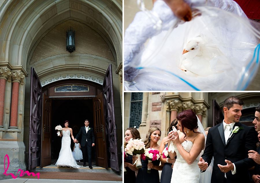 dove release after wedding ceremony