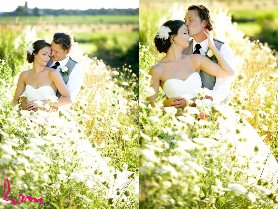 Leigh and Pete in field Purple Hill Country Farms London ON Wedding Photography