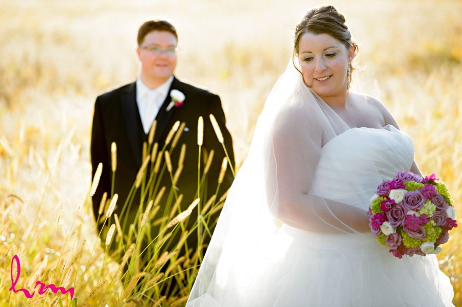 bride and groom in field 