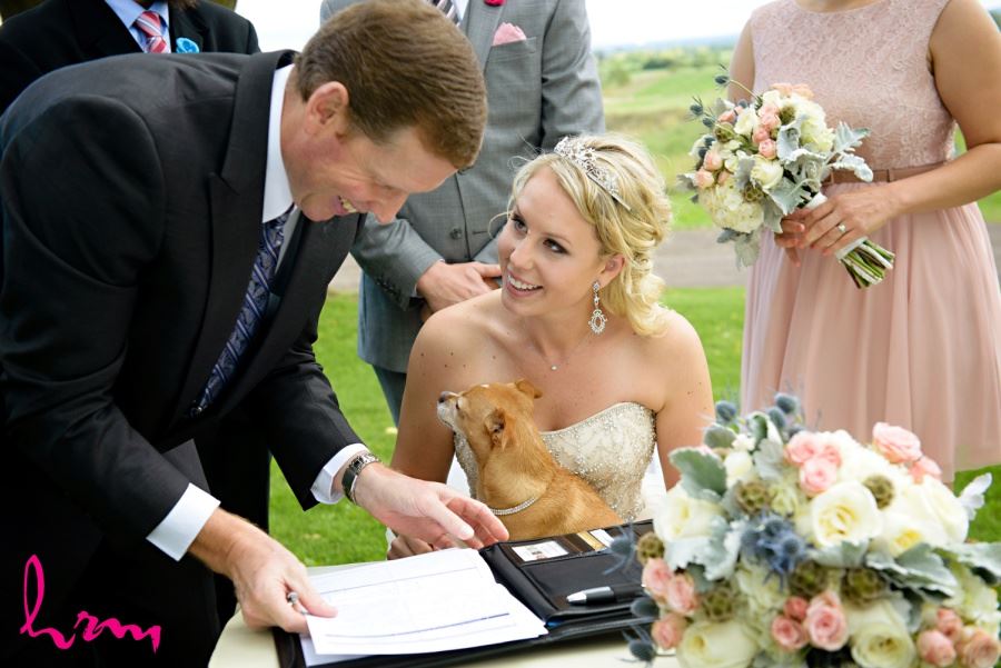 Dog at wedding ceremony in veil with bride and groom during signing