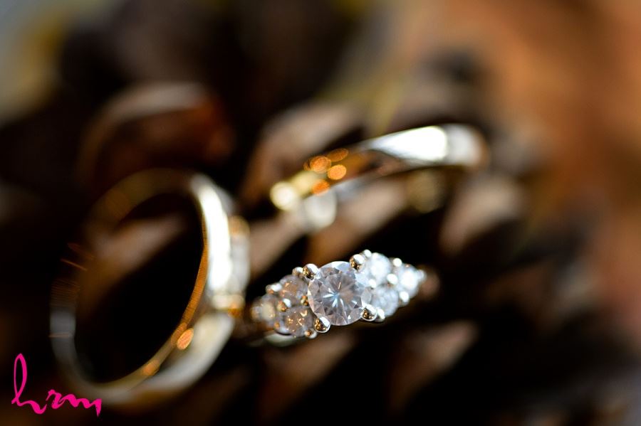 Wedding rings Windermere Manor London ON Wedding Photography
