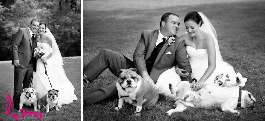 bride and groom and dogs wedding day